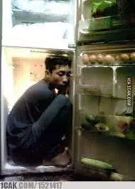 Potret tidur dalam pendingin Berbagai sumber Potret tidur dalam pendingin Berbagai sumber