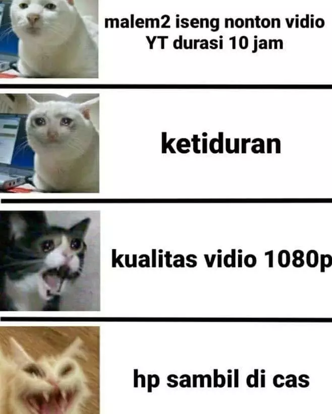 meme ketiduran berbagai sumber