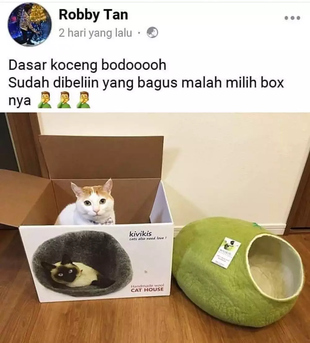 momen apes habis belanja © 2020 instagram.com momen apes habis belanja © 2020 instagram.com
