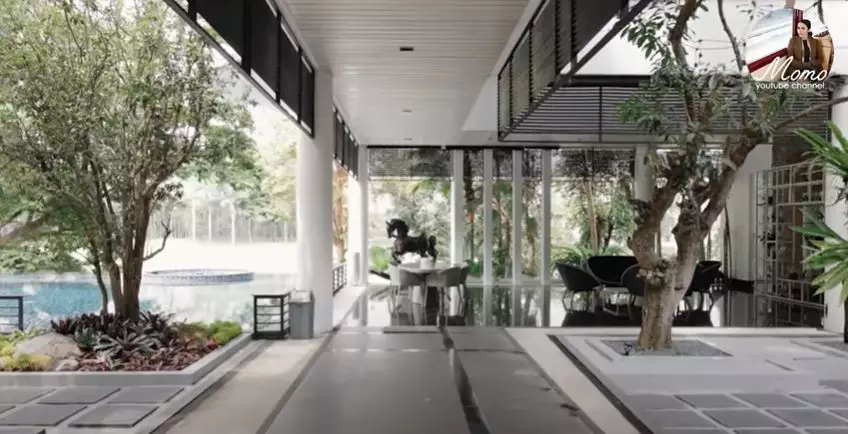 Penampakan halaman belakang rumah Momo Geisha © 2020 brilio.net Penampakan halaman belakang rumah Momo Geisha © 2020 brilio.net