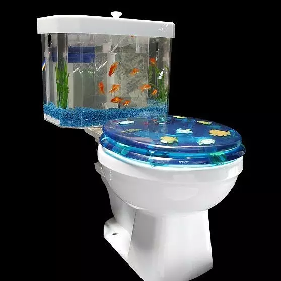 akuarium anti mainstream  Berbagai Sumber akuarium anti mainstream  Berbagai Sumber