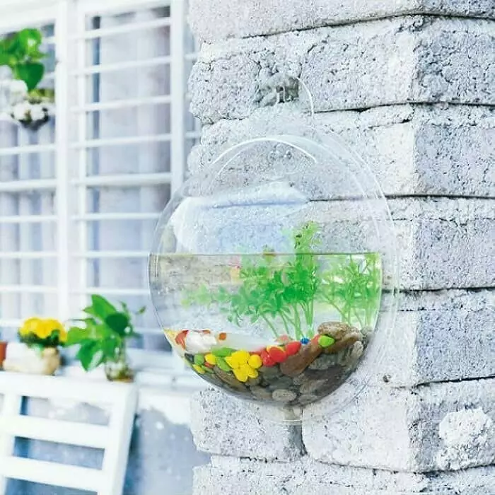 akuarium anti mainstream  Berbagai Sumber akuarium anti mainstream  Berbagai Sumber