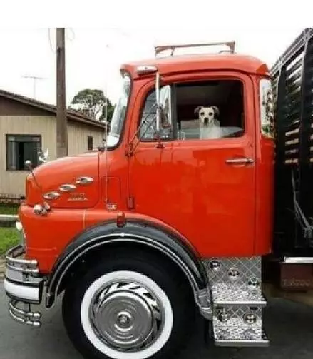 penampakan di kaca truk © 2020 1cak.com