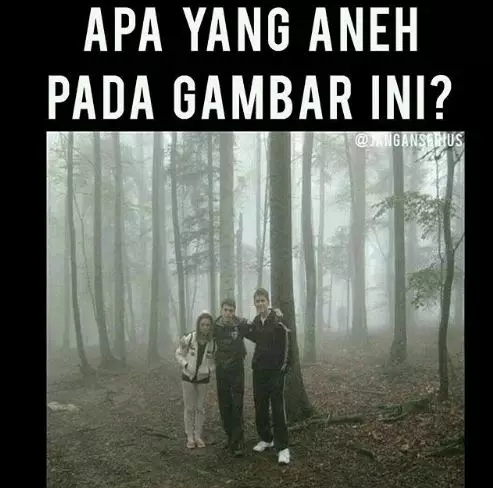 tes keanehan gambar berbagai sumber