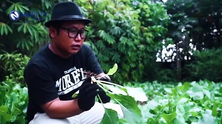 Narji jadi petani sayuran YouTube