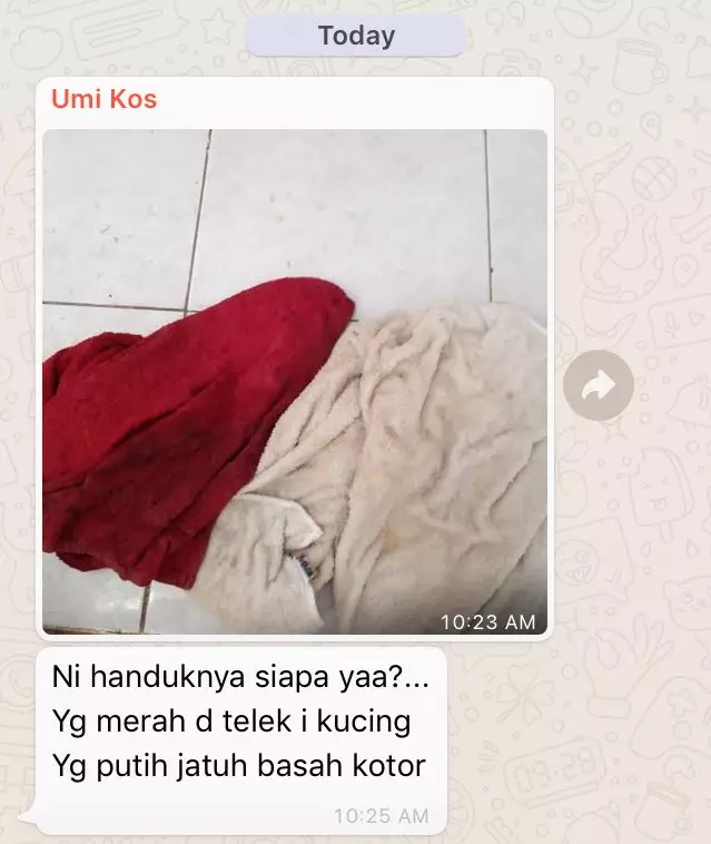 Chat pemberitahuan ibu kos Twitter