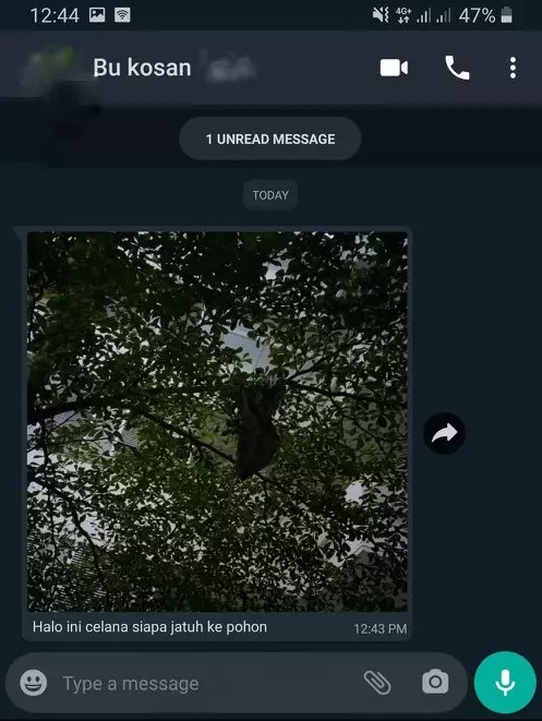 Chat pemberitahuan ibu kos Twitter