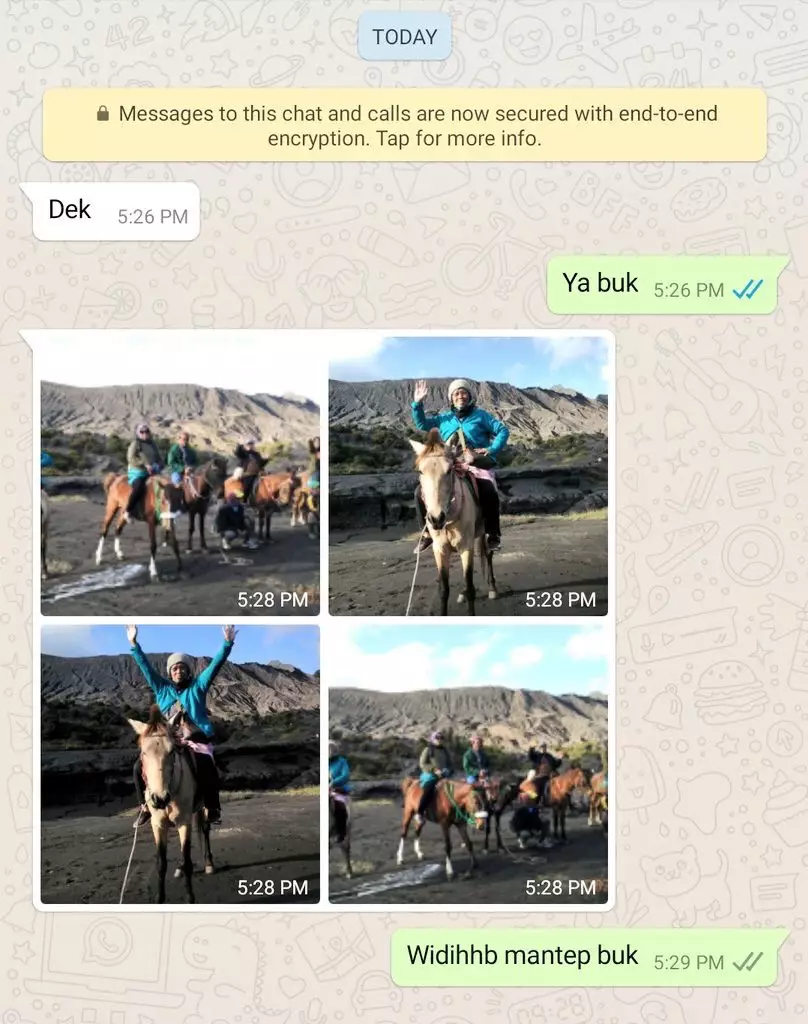 Chat pemberitahuan ibu kos Twitter