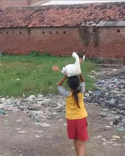 momen ngajak hewan jalan © 2020 instagram.com