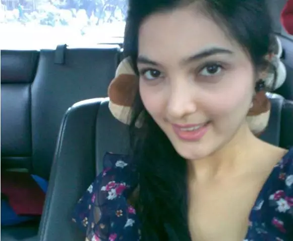 ashanty awal karier berbagai sumber