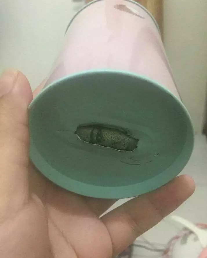 potret lucu benda tersembunyi © 2020 instagram.com