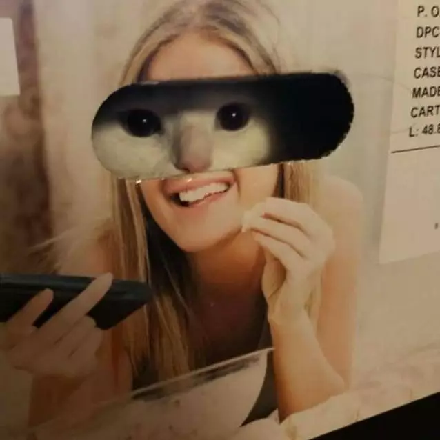 potret lucu benda tersembunyi © 2020 instagram.com