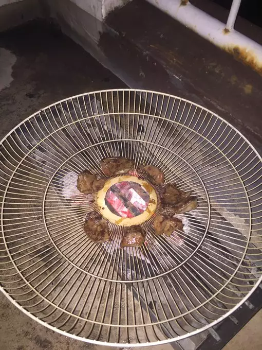 kipas rusak lucu berbagai sumber