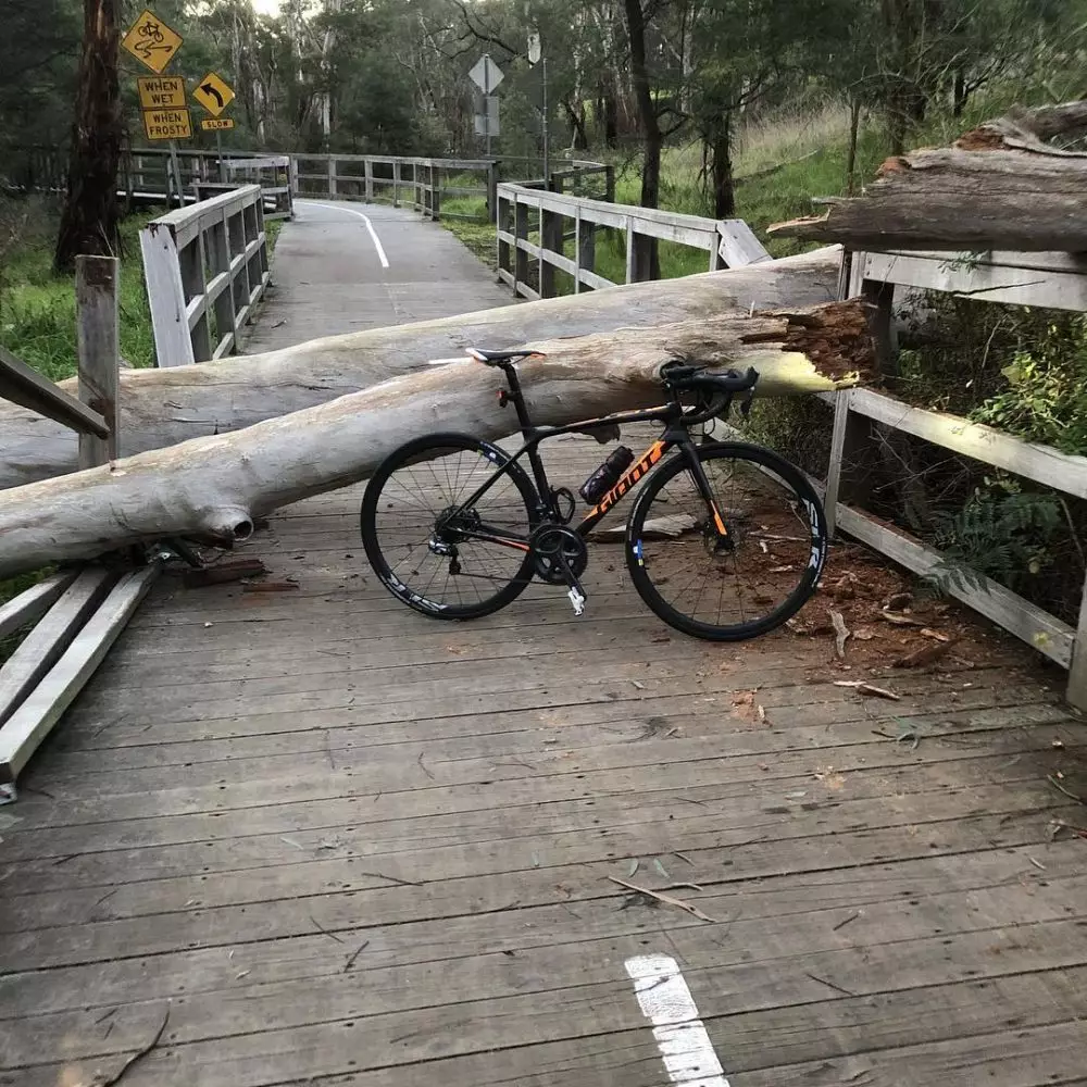Potret selamat dari insiden maut Berbagai sumber