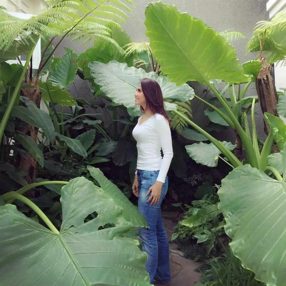 rumah maudy koesnaedi Instagram