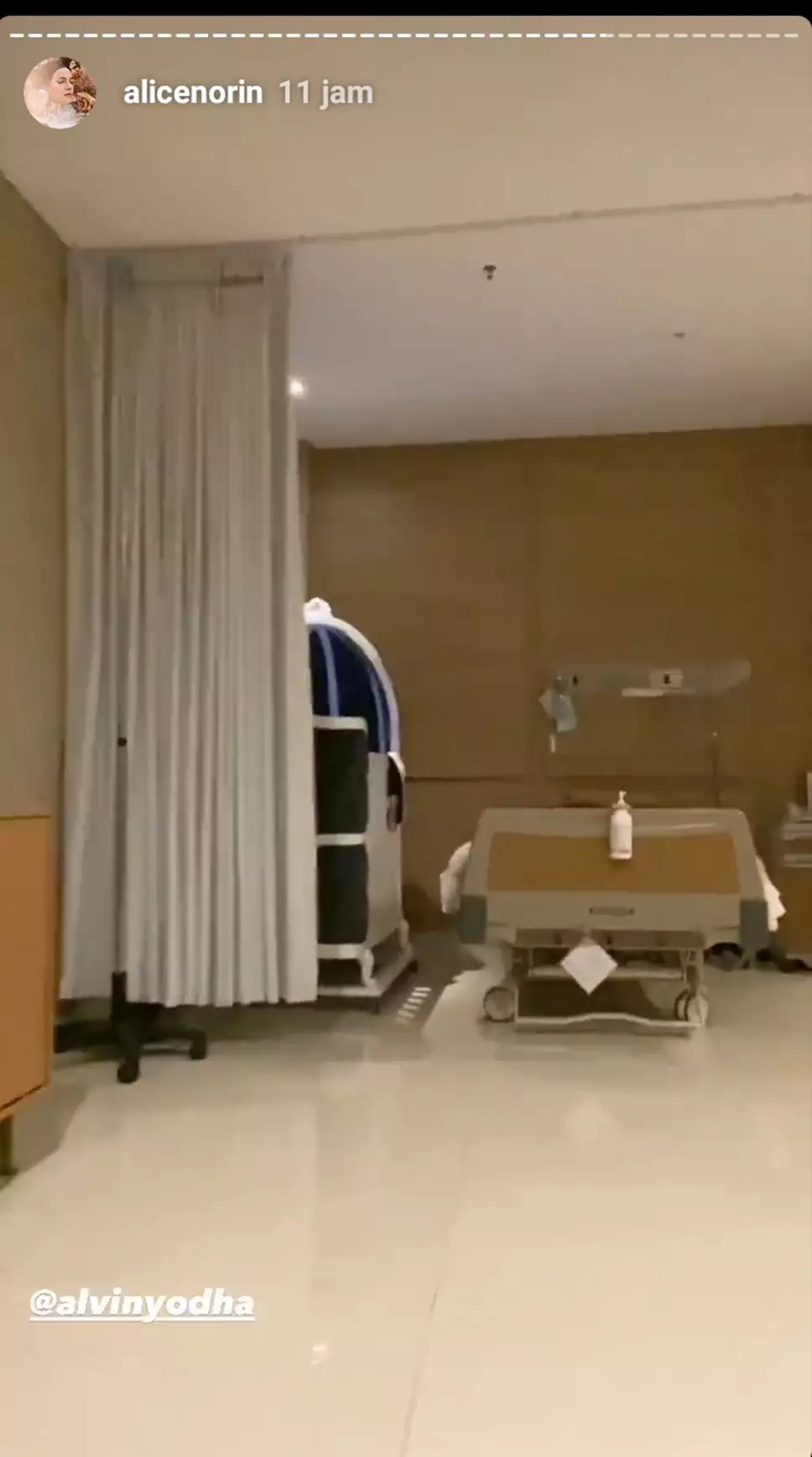 Alice Norin jelang lahiran © 2020 brilio.net Instagram