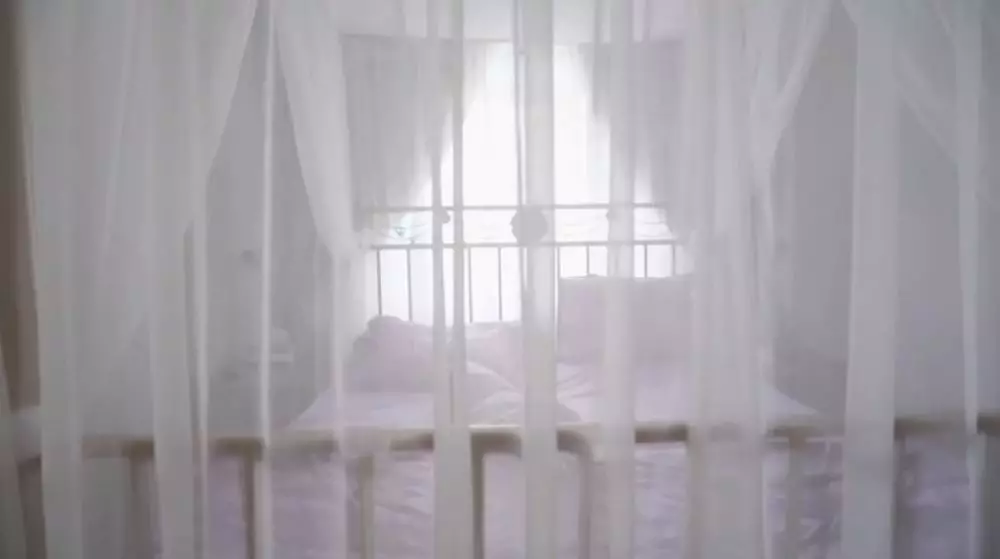 rumah ayah Shandy Aulia YouTube rumah ayah Shandy Aulia YouTube