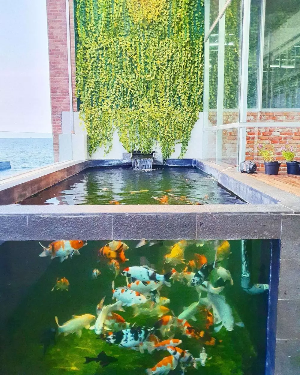 Rumah Eriska Rein Instagram