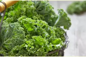 10 Manfaat sayur kale untuk kesehatan, kurangi risiko sakit jantung