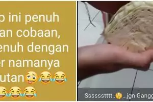 10 Status lucu emak-emak di WhatsApp ini bikin mikir keras