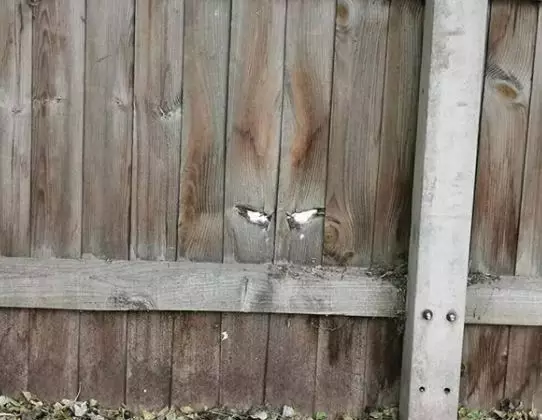 10 Foto unik ini bikin kita harus berkedip istimewa