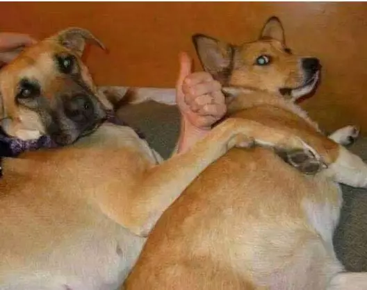 10 Foto unik ini bikin kita harus berkedip istimewa