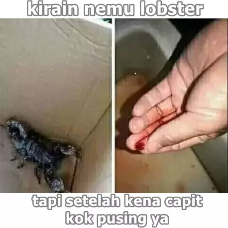 ganti gambar nemu barang zonk Berbagai sumber