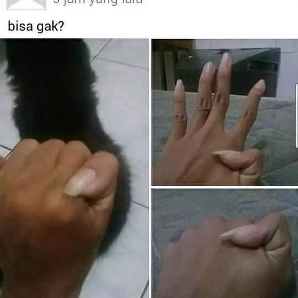 status lucu terlalu niat © 2020 instagram.com