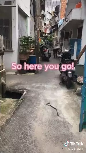 prewed di gang sempit TikTok