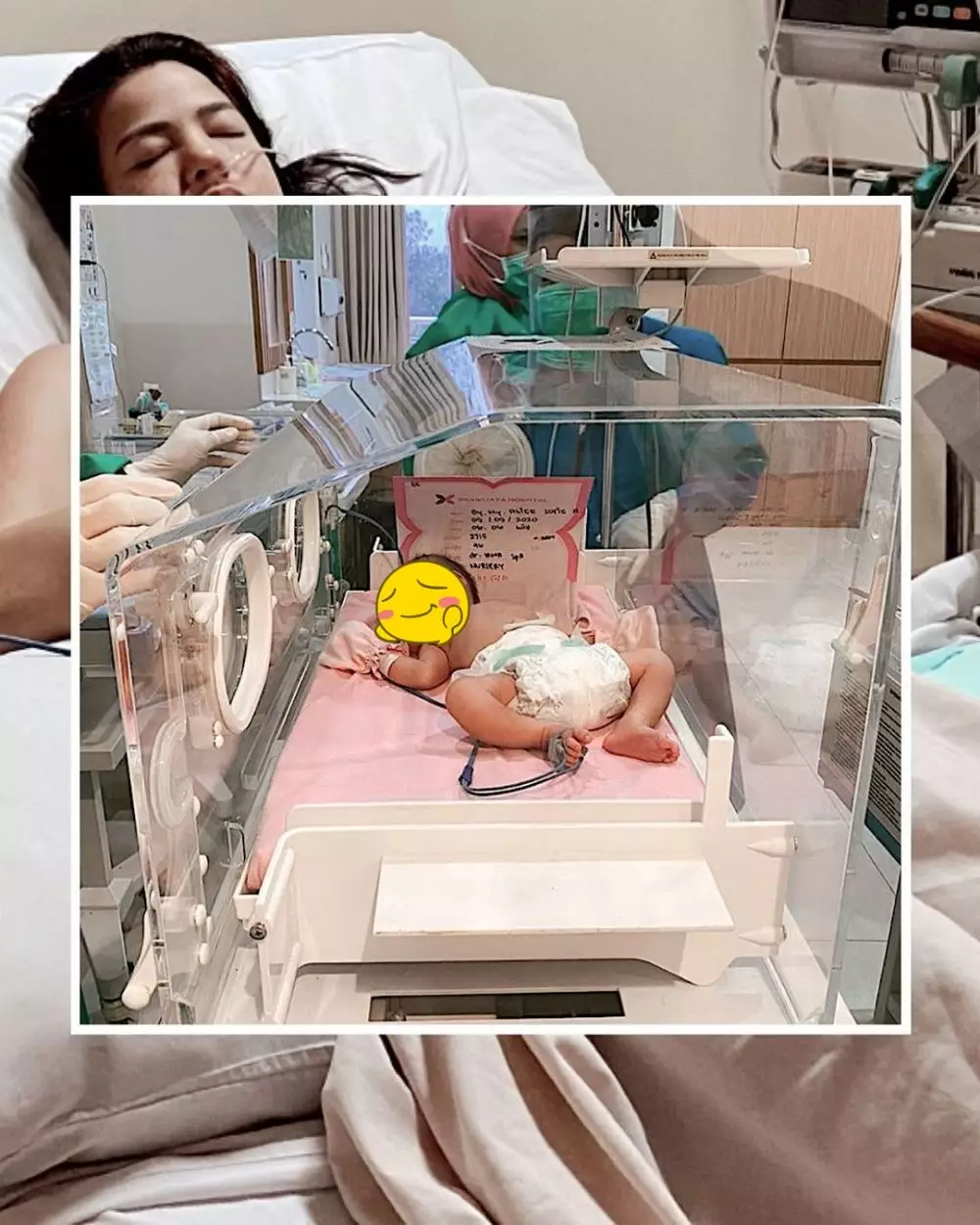 Alice Norin berbagai sumber