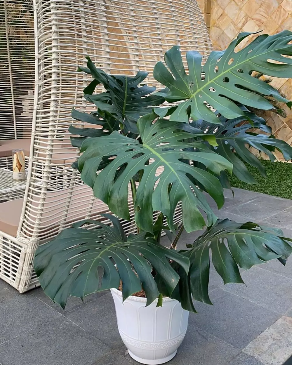 krisdayanti © 2020 brilio.net