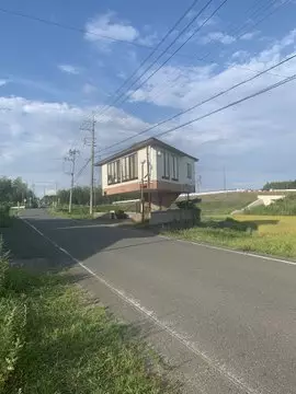Viral rumah jamur unik Berbagai sumber