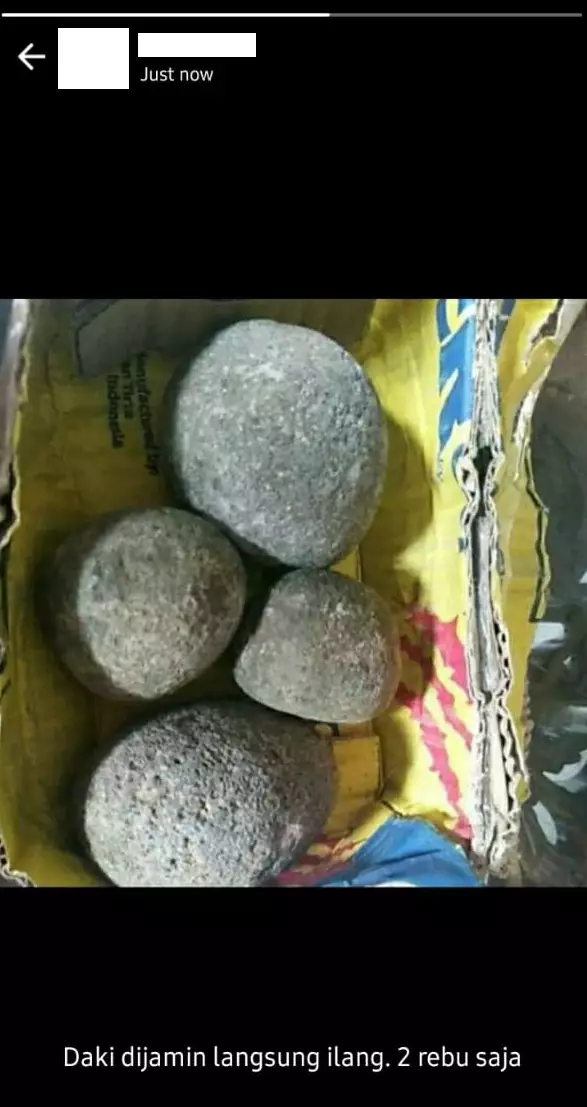 status jualan di WhatsApp Twitter