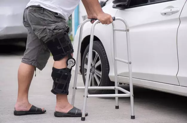 Manfaat daun mengkudu freepik.com