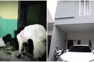 10 Potret beda rumah lama vs kini milik Mpok Alpa, bukti kerja keras