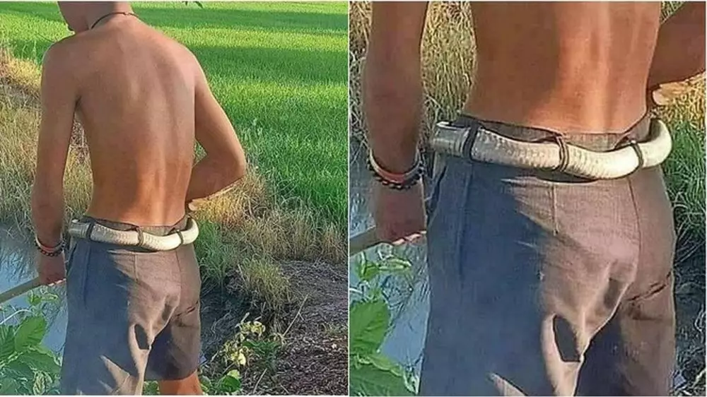 Potret sabuk absurd Berbagai sumber