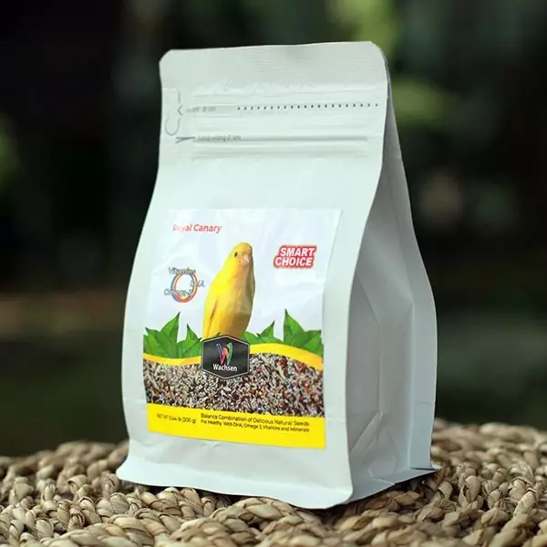 Pakan Burung © 2020 brilio.net Pakan Burung © 2020 brilio.net