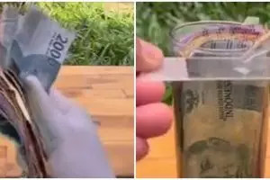 Viral video cek bakteri uang kertas lewat rendaman air, ngeri
