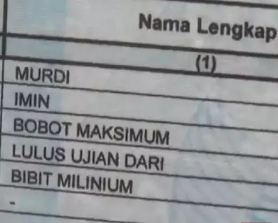 nama absurd di kartu keluarga Berbagai Sumber