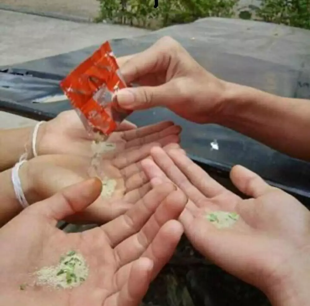 sahabat sejati kompak abis  Berbagai Sumber