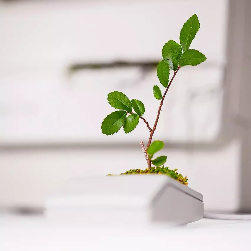 pot tanaman dari barang elektronik  Berbagai Sumber