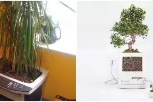 10 Potret pot tanaman dari barang bekas elektronik ini kreatif abis