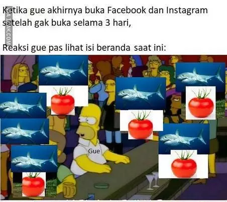 meme ikan hiu makan tomat Berbagai Sumber meme ikan hiu makan tomat Berbagai Sumber