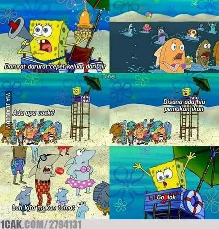 meme ikan hiu makan tomat Berbagai Sumber meme ikan hiu makan tomat Berbagai Sumber