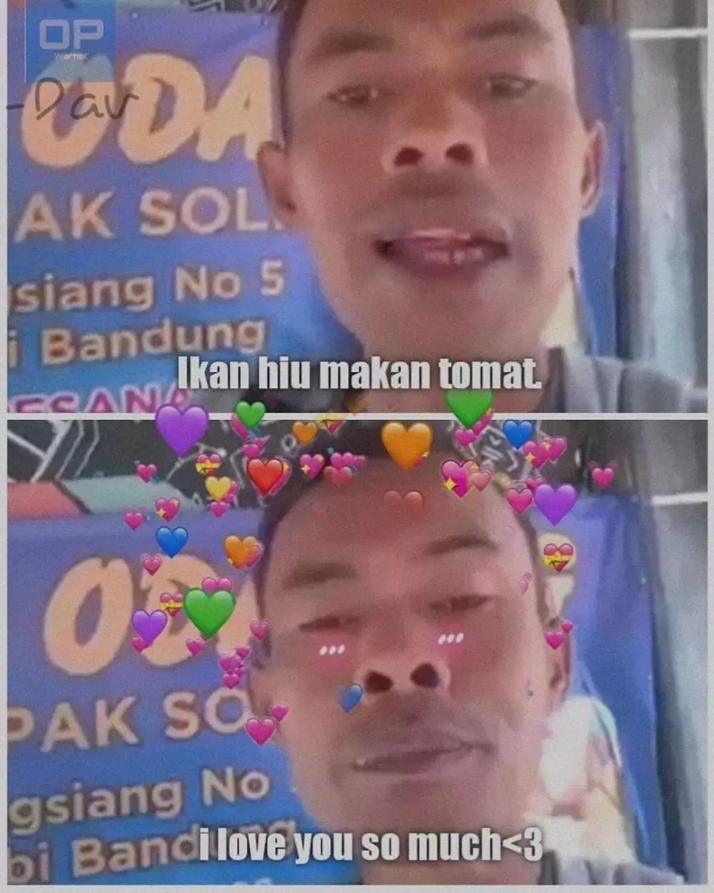 meme ikan hiu makan tomat Berbagai Sumber meme ikan hiu makan tomat Berbagai Sumber