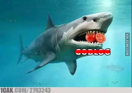 meme ikan hiu makan tomat Berbagai Sumber meme ikan hiu makan tomat Berbagai Sumber