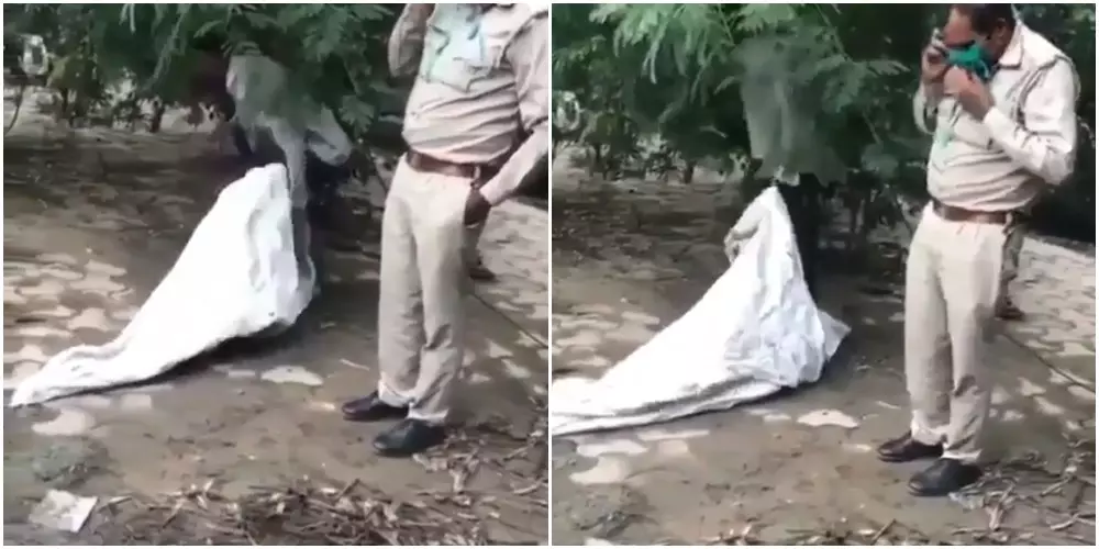 Viral bungkus putih bak mayat Instagram/@kocak.petcaah Viral bungkus putih bak mayat Instagram/@kocak.petcaah