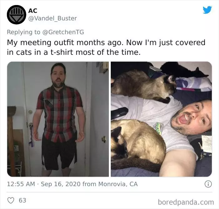 Kelakuan kocak meeting online Berbagai sumber