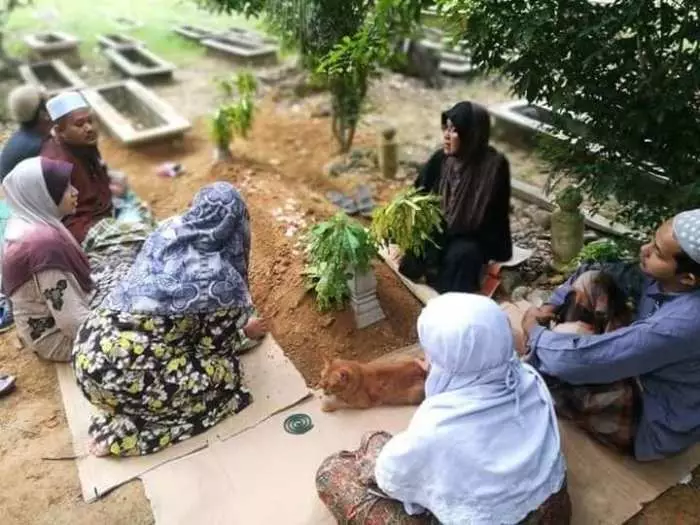 Kucing setia jaga makam Facebook/ Hazlynn Nozi Kucing setia jaga makam Facebook/ Hazlynn Nozi