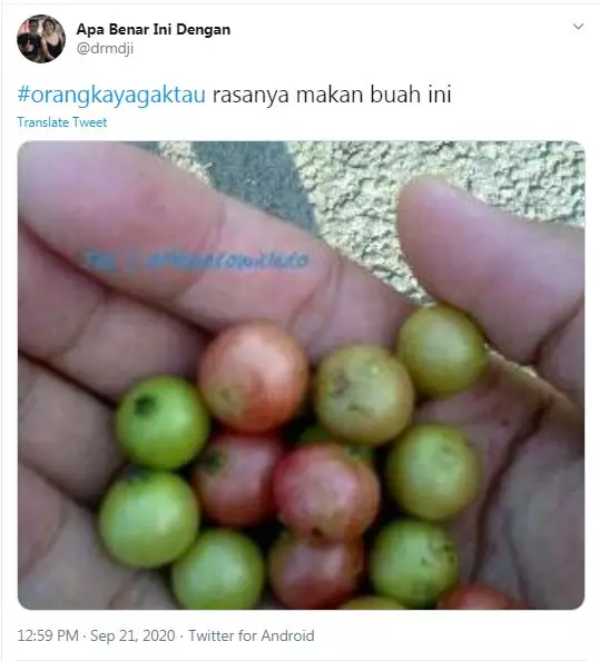 cuitan lucu cuma sobat miskin yang rasain Twitter